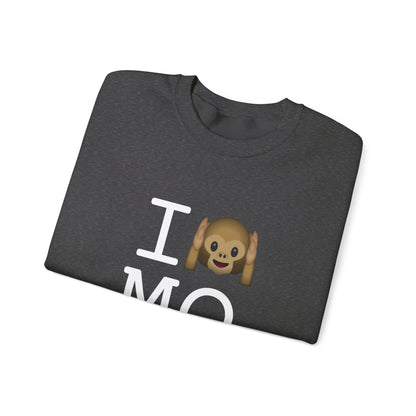 "I Don't Hear Missouri" Sweatshirt