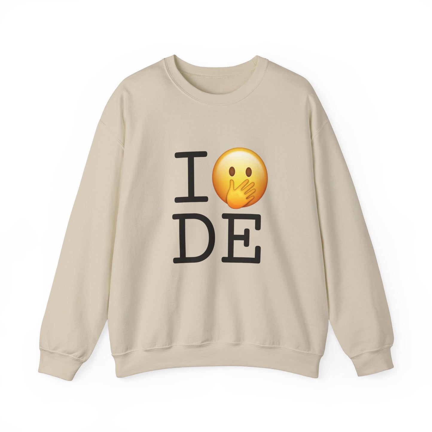 "I Messed Up (Oops) in Delaware" Sweatshirt