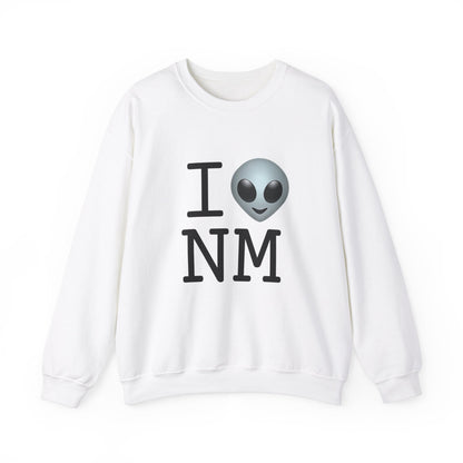 "I Feel Alien in New Mexico" Sweatshirt