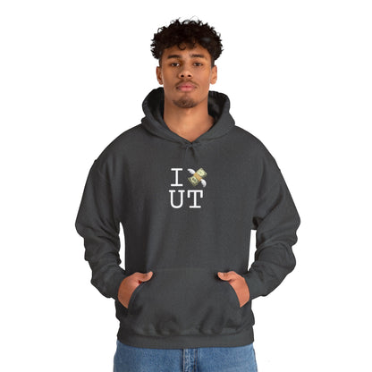 "I Lose Money in Utah" Hoodie