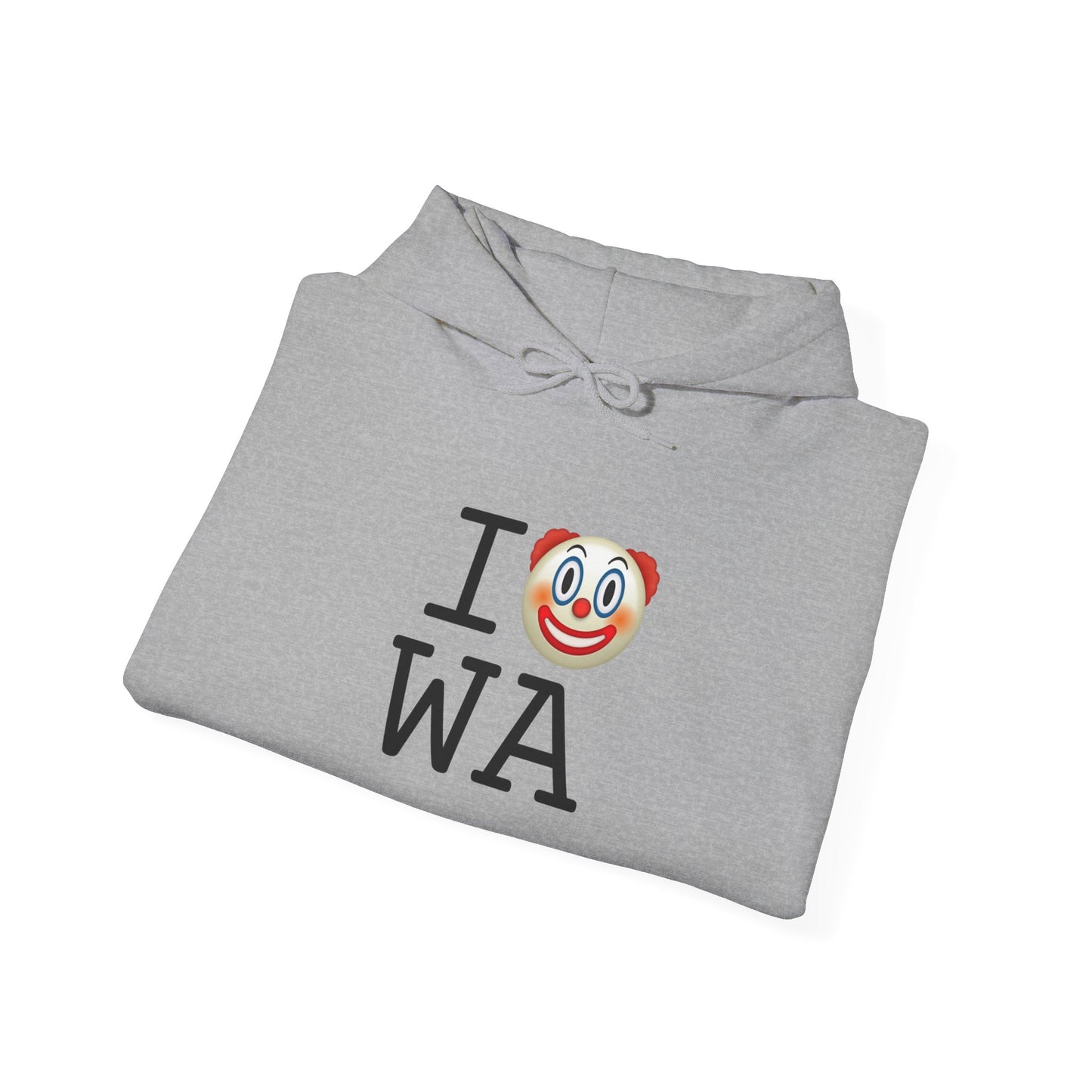 "I Clown on Washington" Hoodie