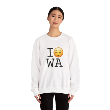 "I'm Relieved about Washington" Sweatshirt