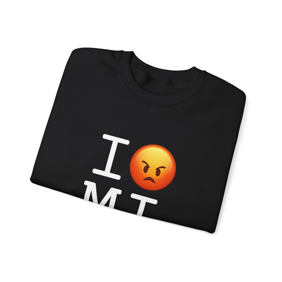 "I'm Angry about Michigan" Sweatshirt