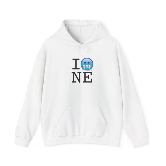 "I'm Cold in Nebraska" Hoodie