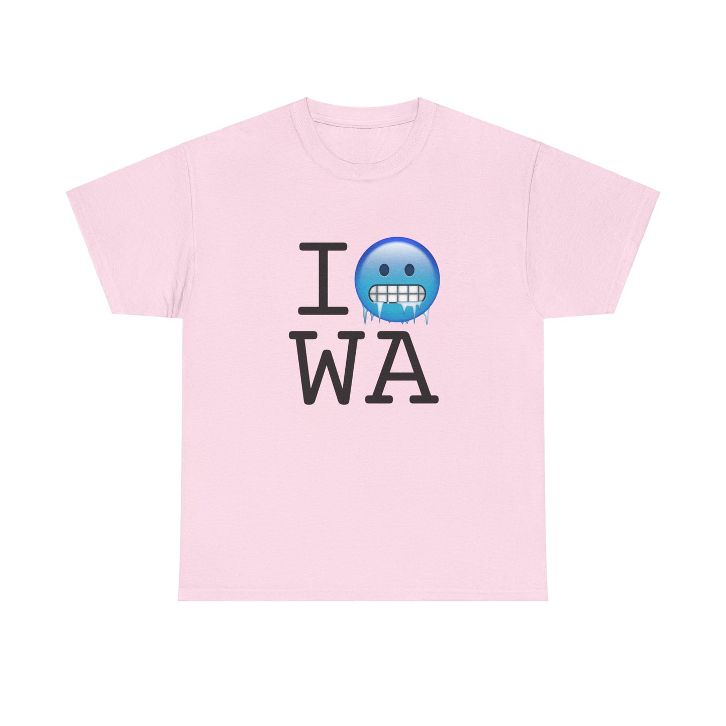 "I'm Cold in Washington" Tee