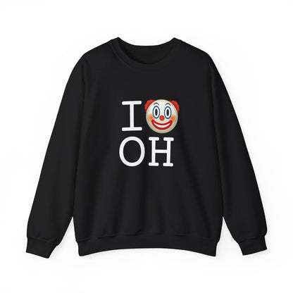 "I Clown on Ohio" Sweatshirt