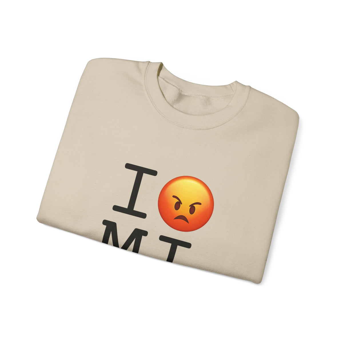 "I'm Angry about Michigan" Sweatshirt