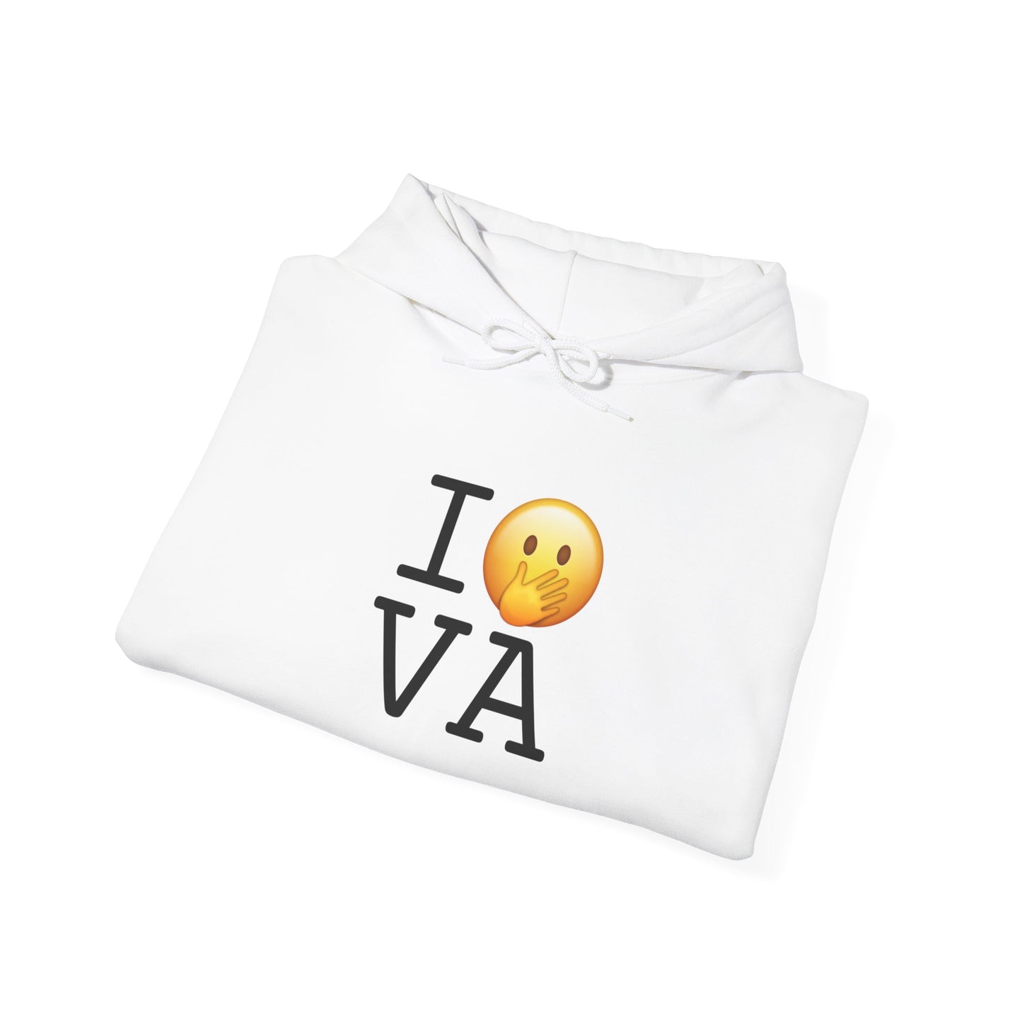 "I Messed Up (Oops) in Virginia" Hoodie