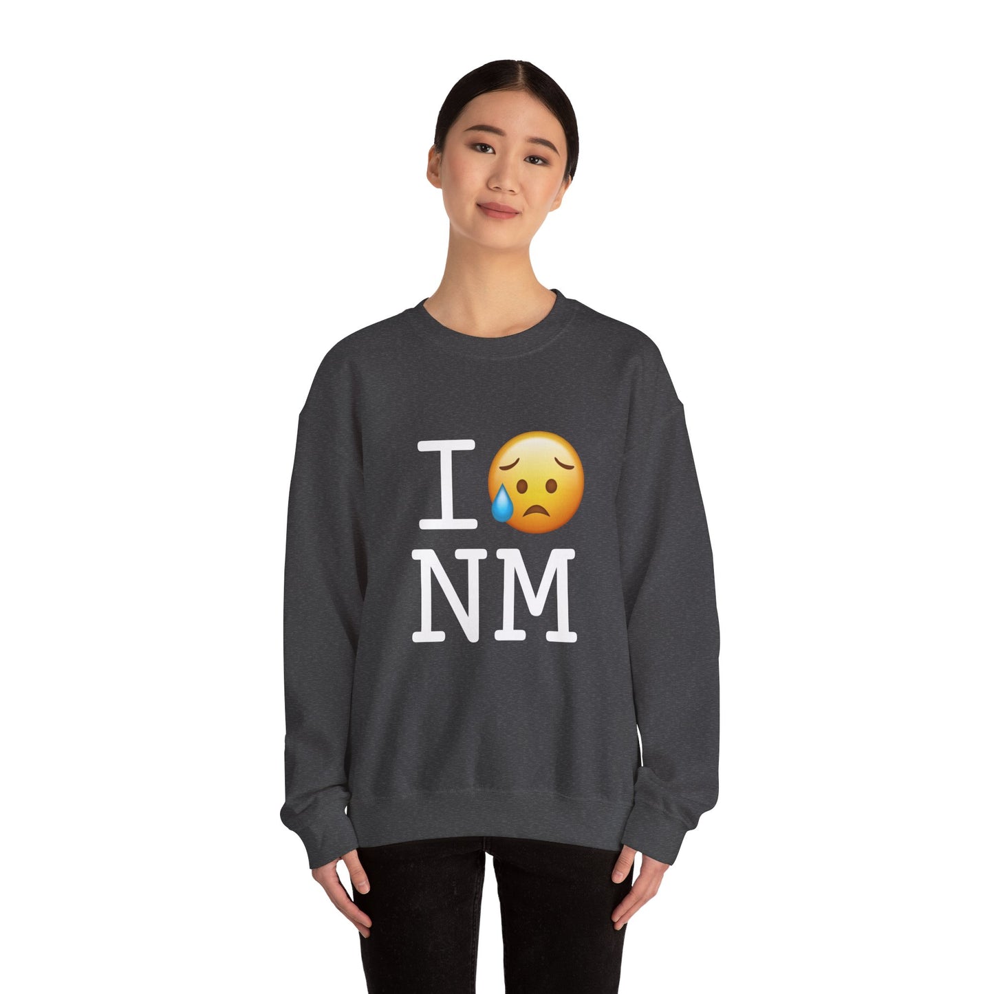 "I'm Sad About New Mexico" Sweatshirt