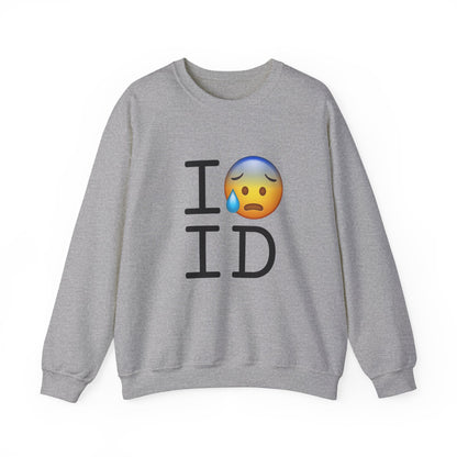 "I'm Anxiously Sweating in Idaho" Sweatshirt