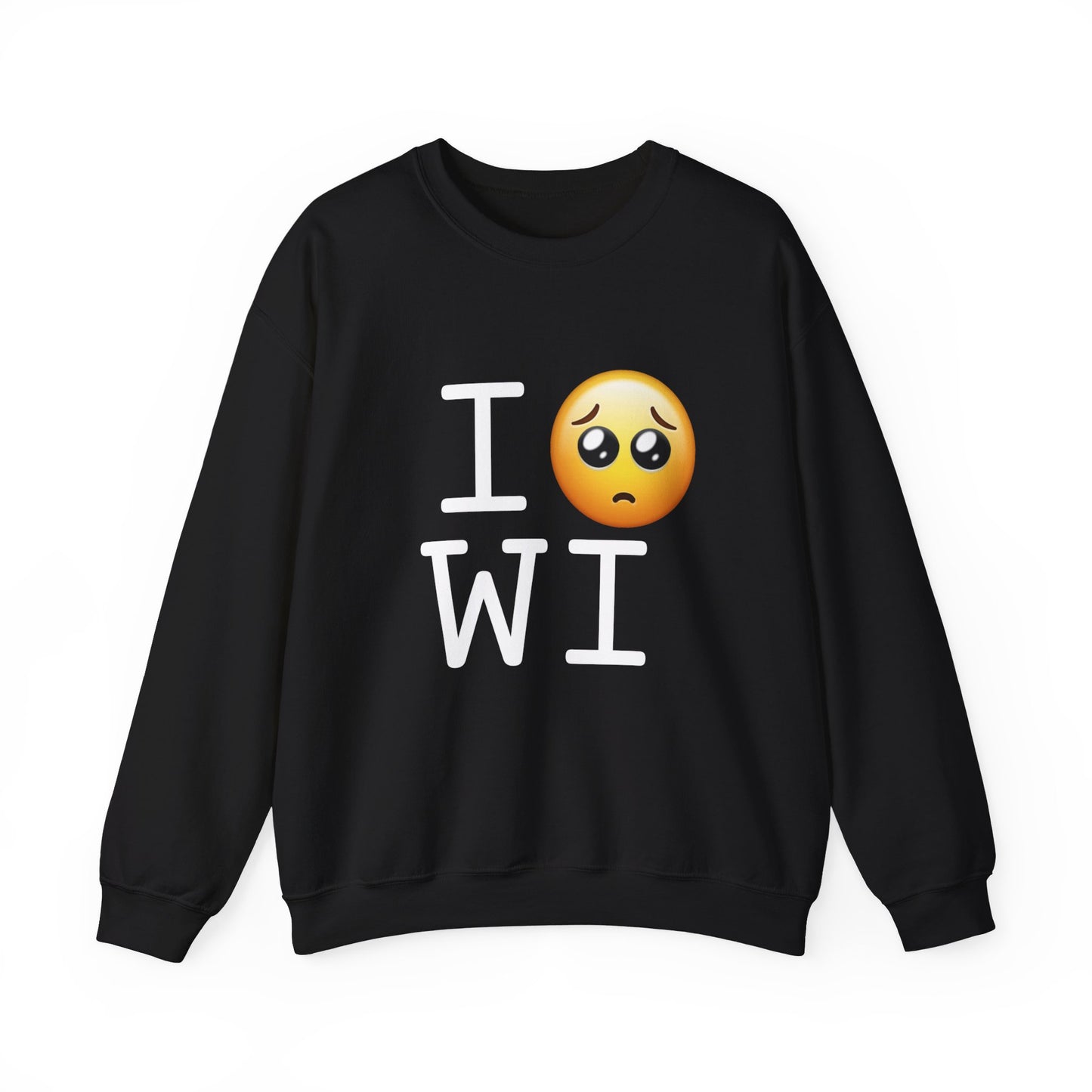 "I'm Begging about Wisconsin" Sweatshirt