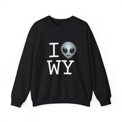 "I Feel Alien in Wyoming" Sweatshirt