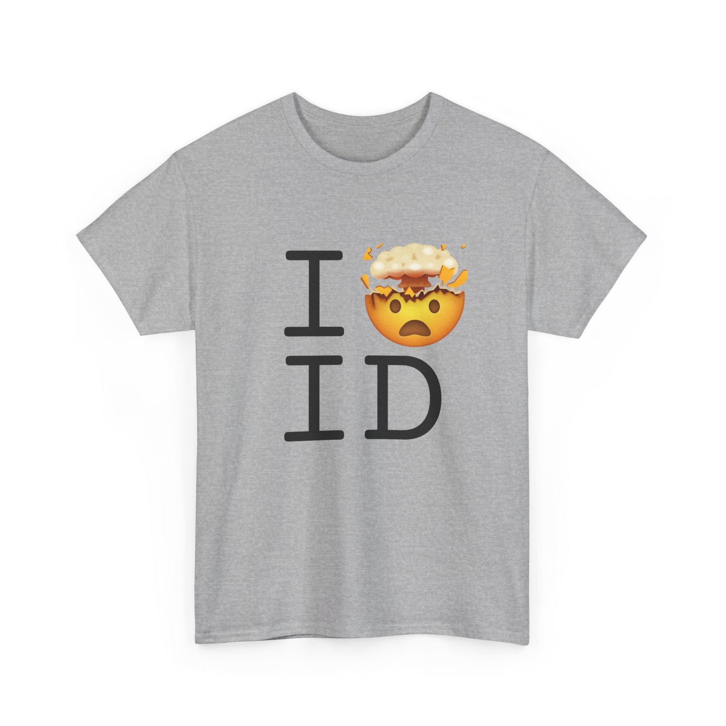"I'm Mind Blown by Idaho" Tee