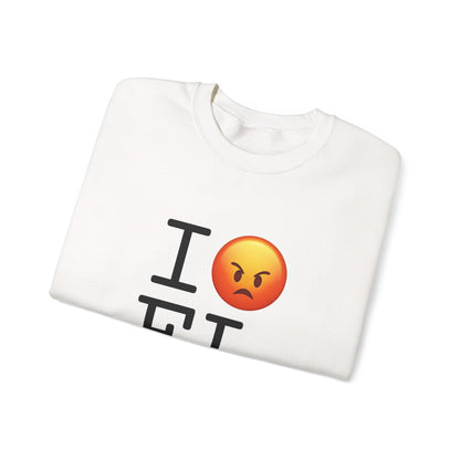 "I'm Angry about Florida" Sweatshirt