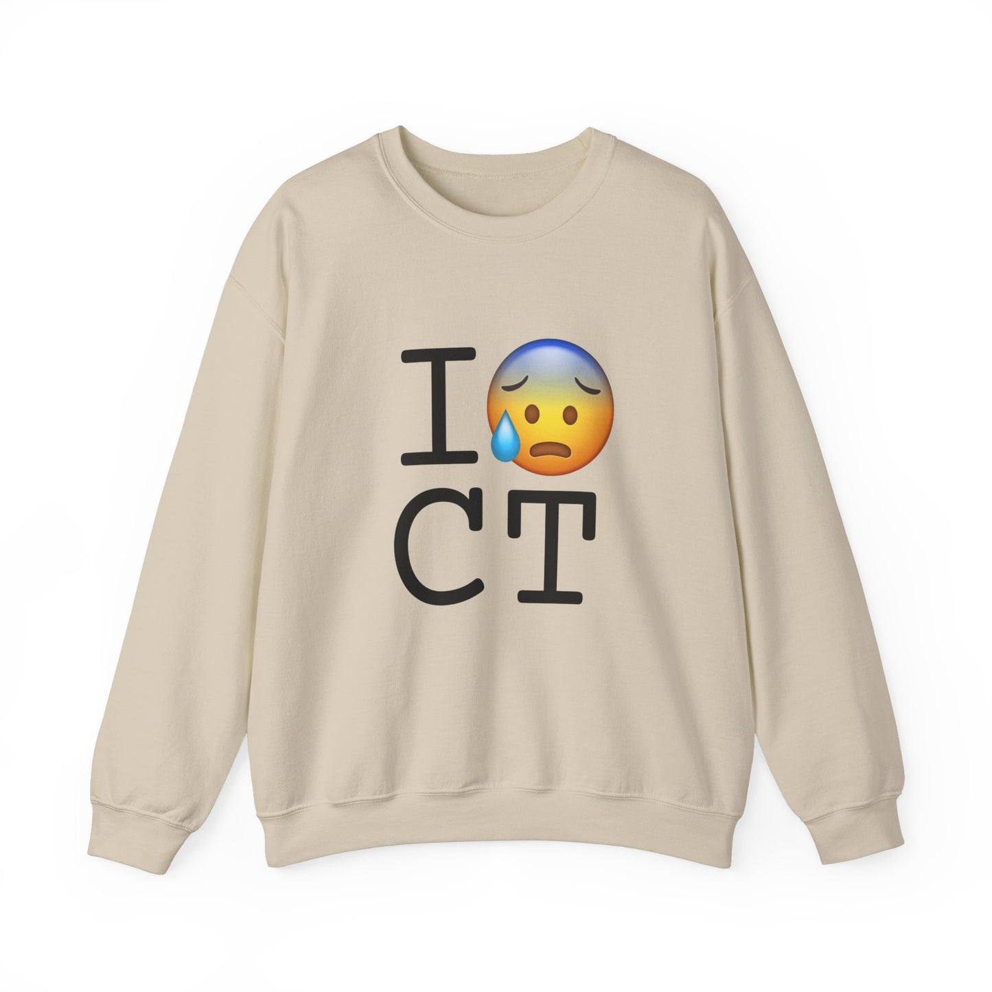 "I'm Anxiously Sweating in Connecticut" Sweatshirt