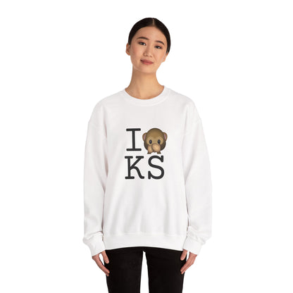 "I Don't Speak about Kansas" Sweatshirt