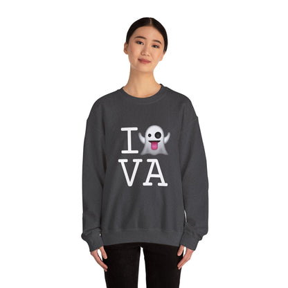 "I'm Ghosting Virginia" Sweatshirt