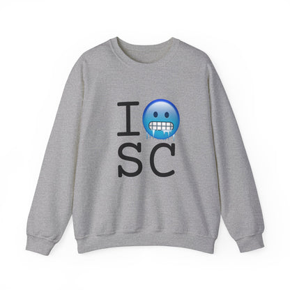 "I'm Cold in South Carolina" Sweatshirt