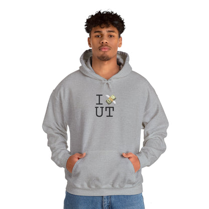 "I Lose Money in Utah" Hoodie