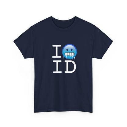 "I'm Cold in Idaho" Tee