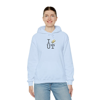 "I Lose Money in Utah" Hoodie