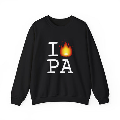 "I've got Fire for Pennsylvania" Sweatshirt