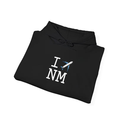 "I Fly Over New Mexico" Hoodie
