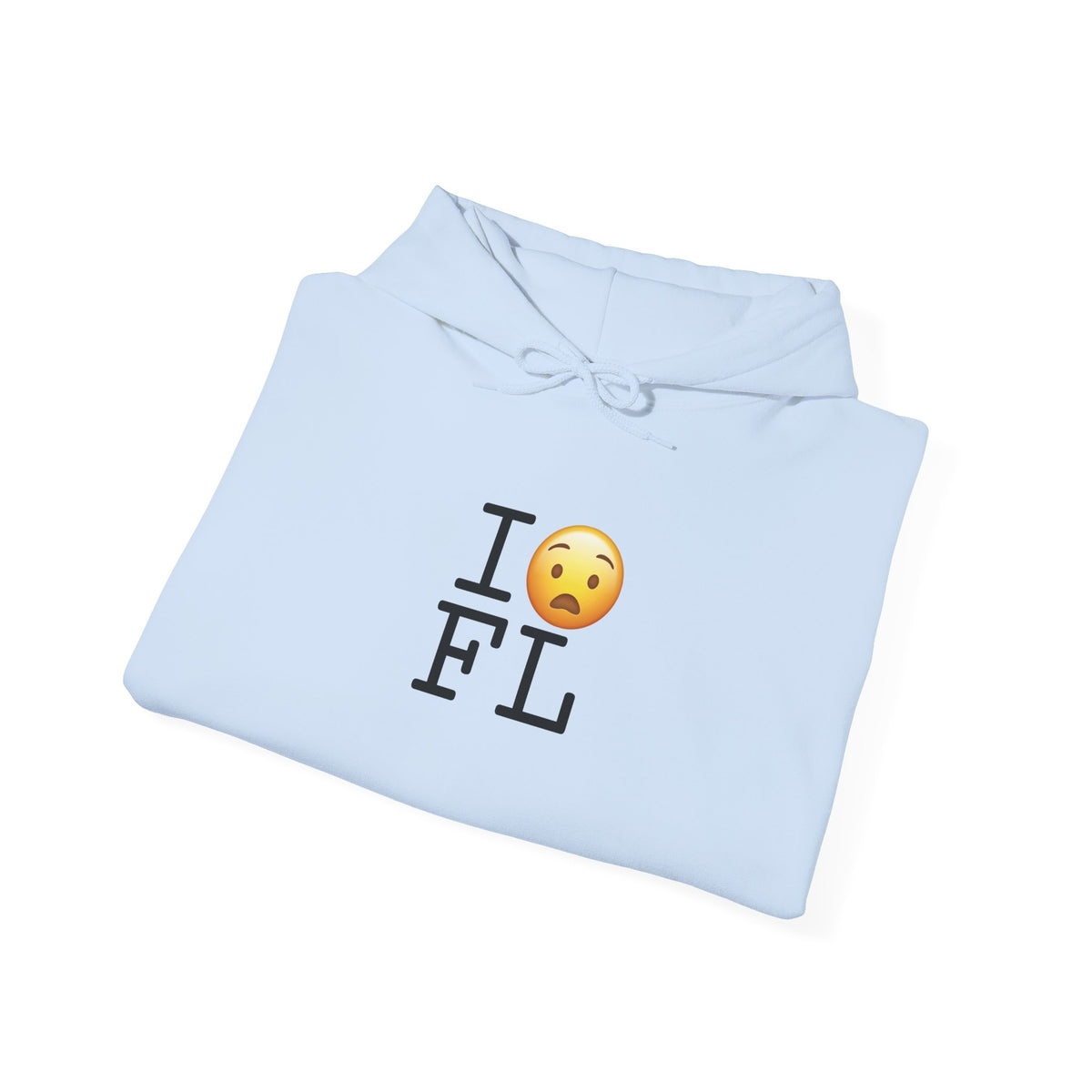 "I'm Anguished about Florida" Hoodie