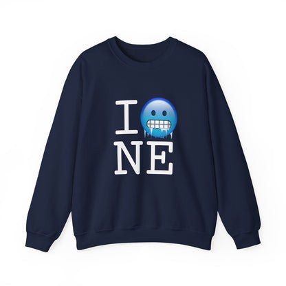 "I'm Cold in Nebraska" Sweatshirt