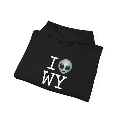 "I Feel Alien in Wyoming" Hoodie