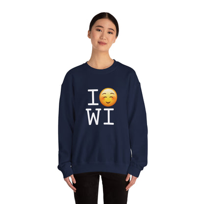 "I Blush at Wisconsin" Sweatshirt