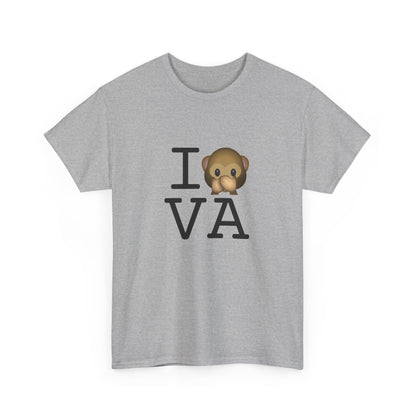 "I Don't Speak about Virginia" Tee