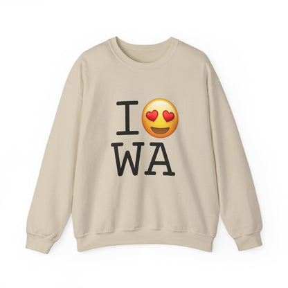 "I have Heart Eyes for Washington" Sweatshirt