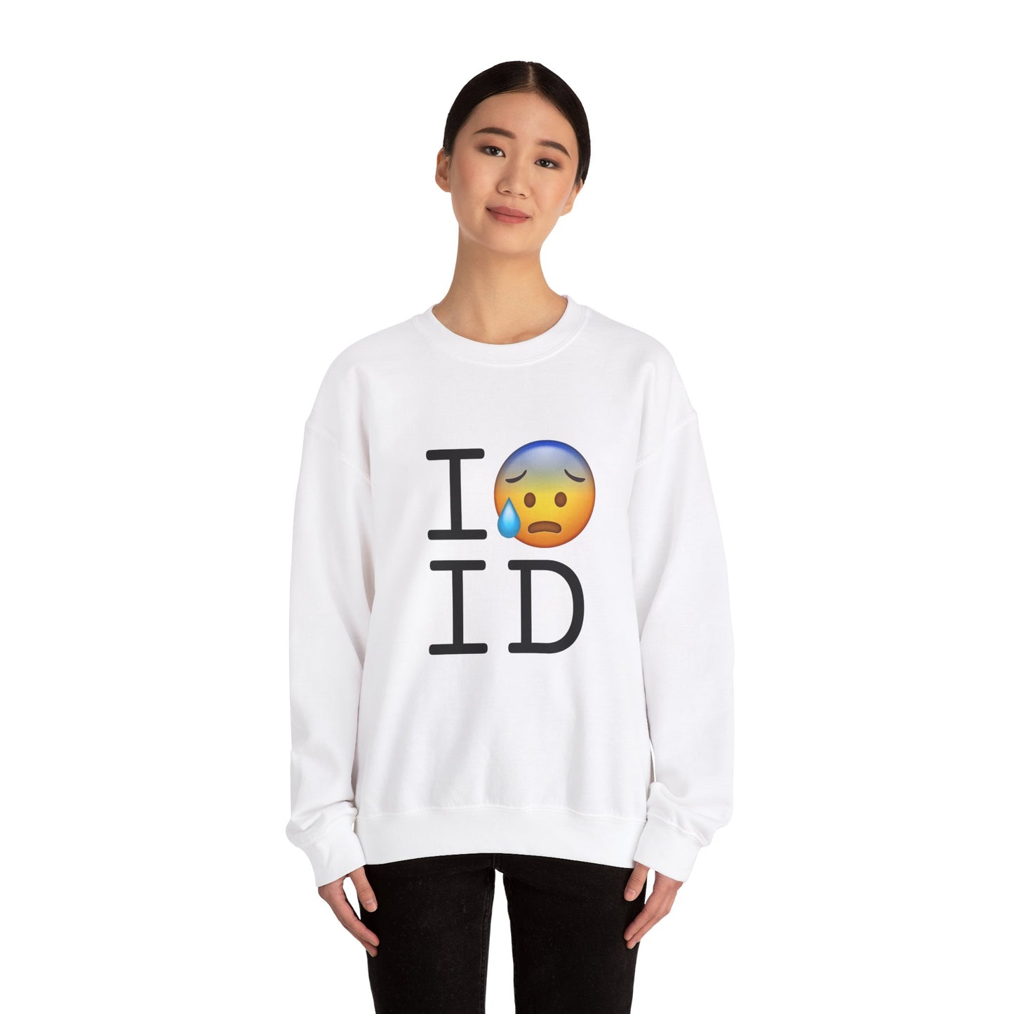 "I'm Anxiously Sweating in Idaho" Sweatshirt