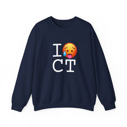 "I'm Hot in Connecticut" Sweatshirt