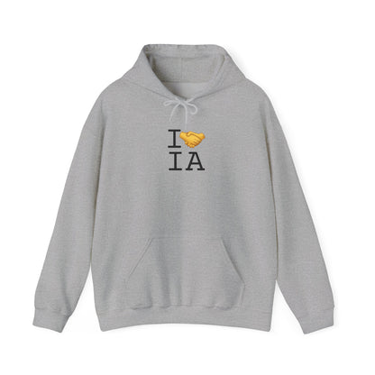 "I Have an Arrangement with Iowa" Hoodie