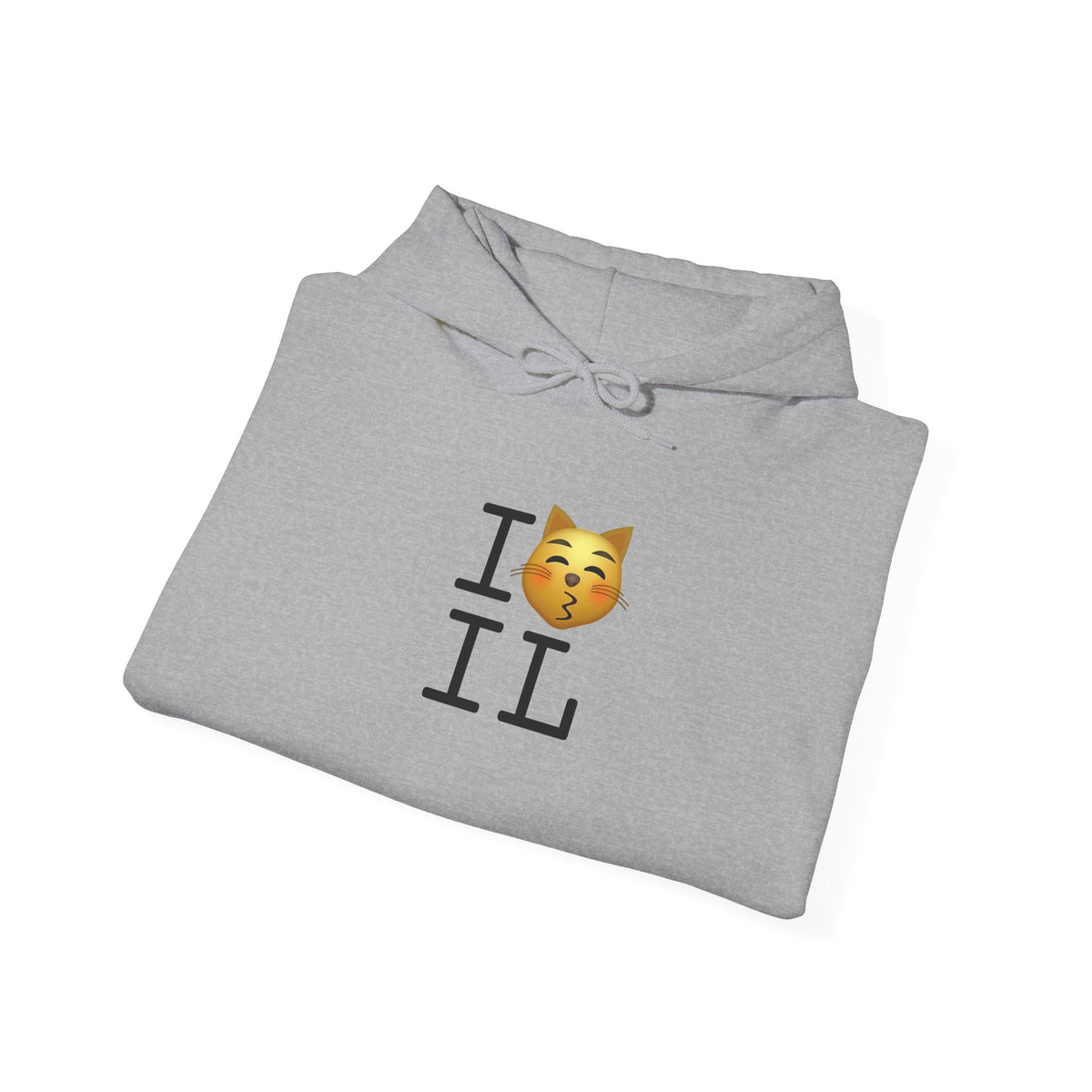 "I'm a Kissing Cat toward Illinois" Hoodie