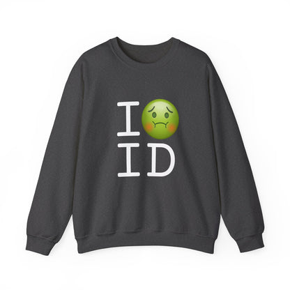 "I'm Nauseous about Idaho" Sweatshirt
