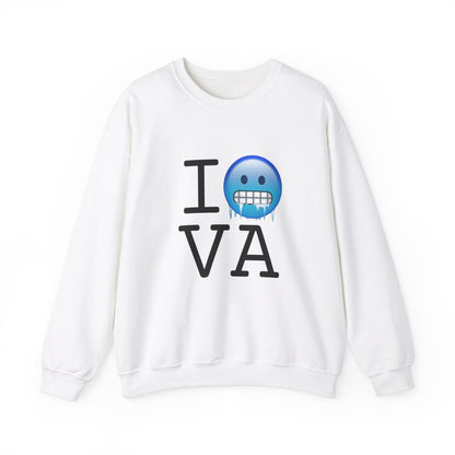 "I'm Cold in Virginia" Sweatshirt