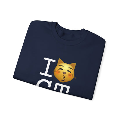 "I'm a Kissing Cat toward Connecticut" Sweatshirt