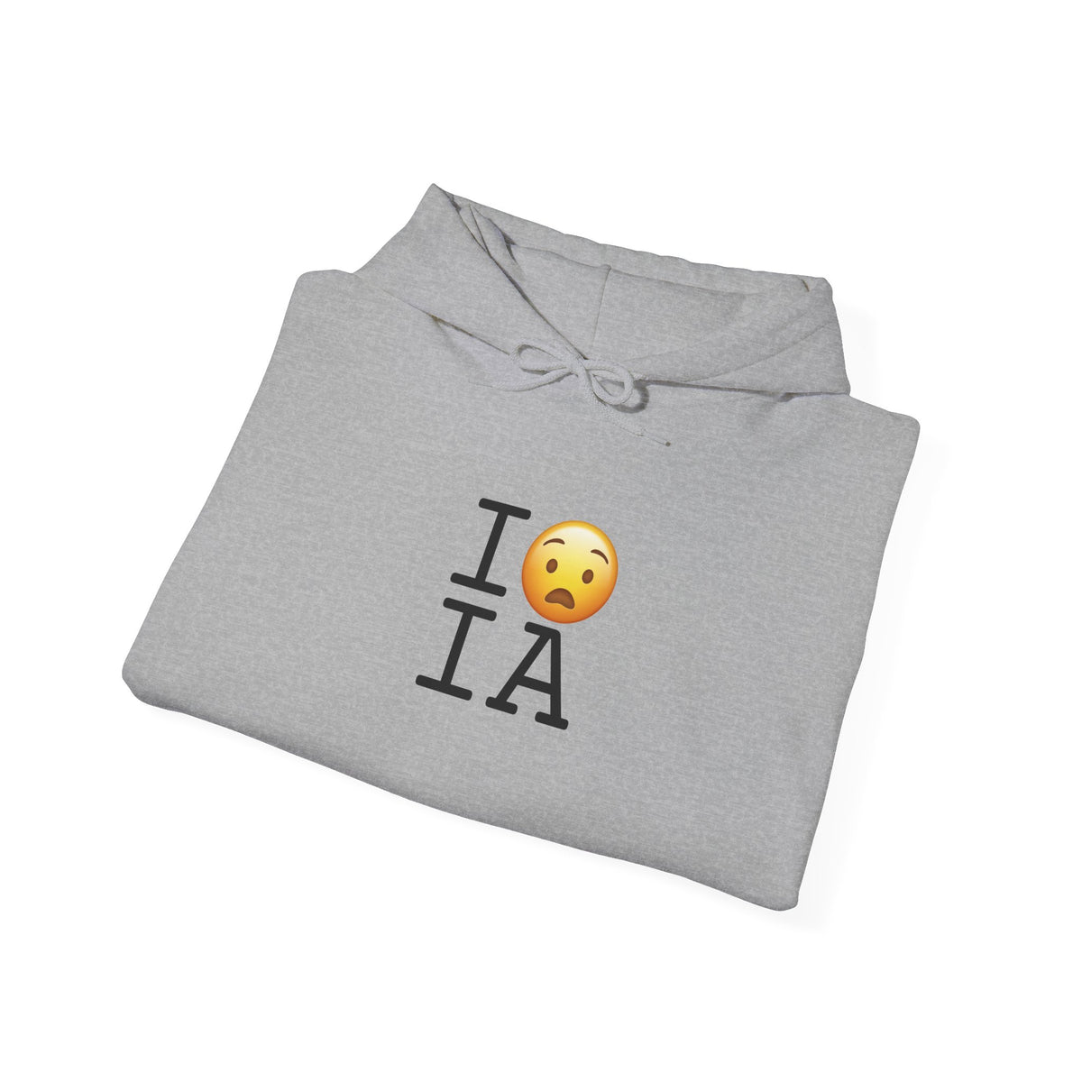 "I'm Anguished about Iowa" Hoodie