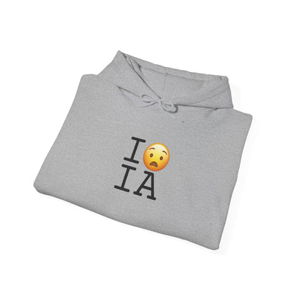 "I'm Anguished about Iowa" Hoodie