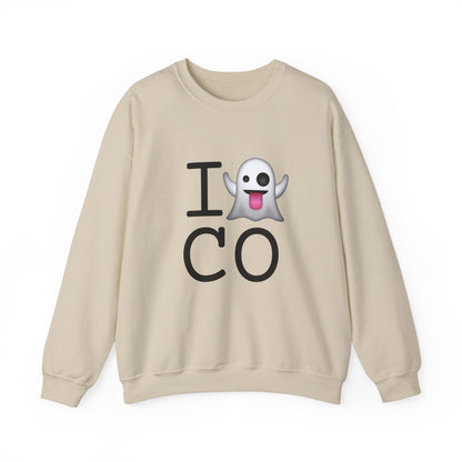 "I'm Ghosting Colorado" Sweatshirt