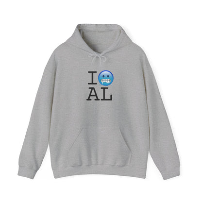 "I'm Cold in Alabama" Hoodie