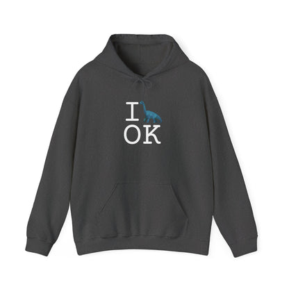 "I'm a Dinosaur in Oklahoma" Hoodie