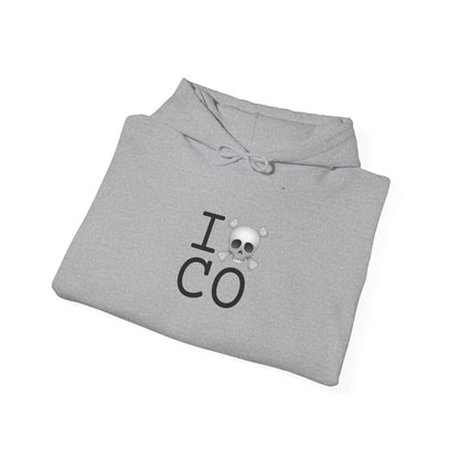 "I'm a Pirate in Colorado" Hoodie