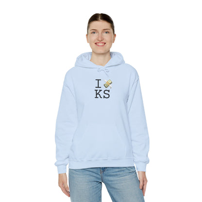 "I Lose Money in Kansas" Hoodie