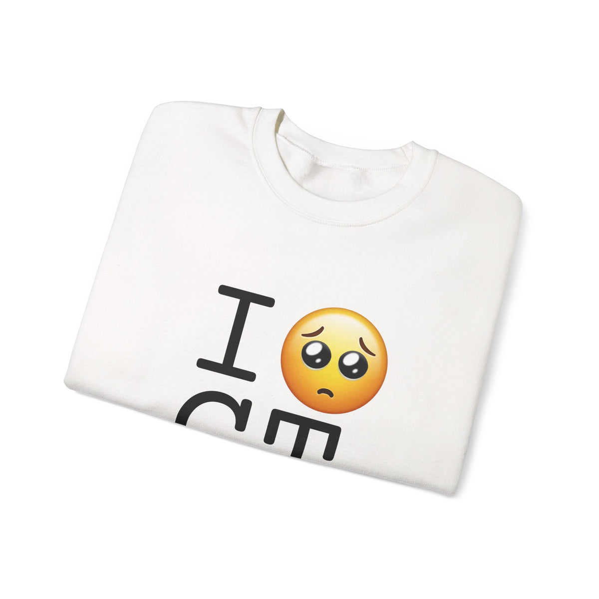 "I'm Begging about Connecticut" Sweatshirt