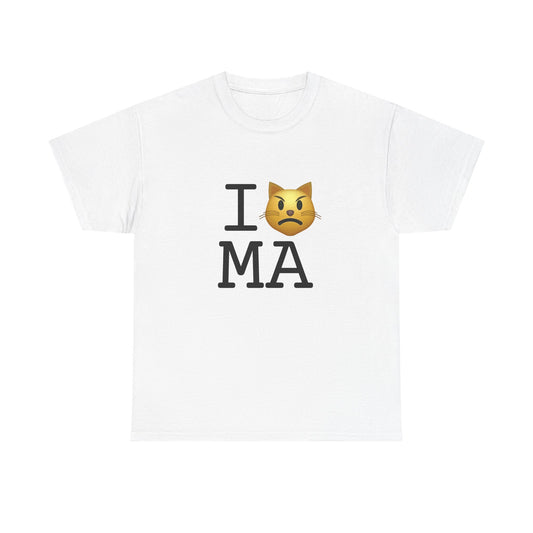 "I'm a Pouting Cat about Massachusetts" Tee
