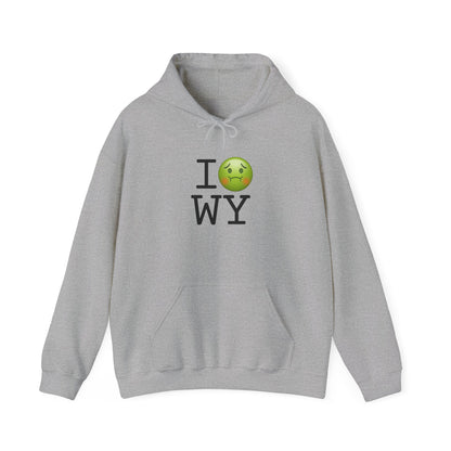 "I'm Nauseous about Wyoming" Hoodie
